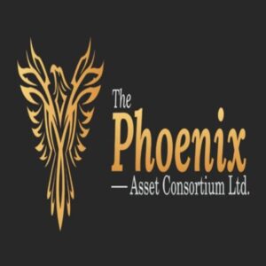 Profile picture of PhoenixAsset
