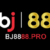 Profile picture of bj8888pro