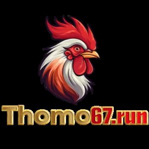 Profile picture of THOMO67