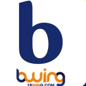 Profile picture of 1bwingcom